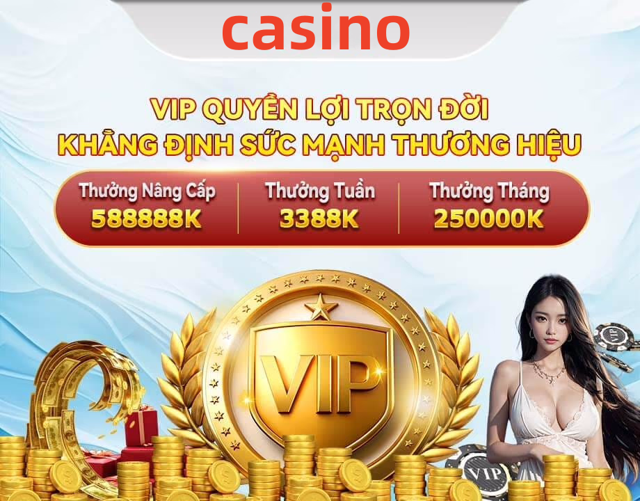 6bet