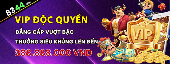 6bet