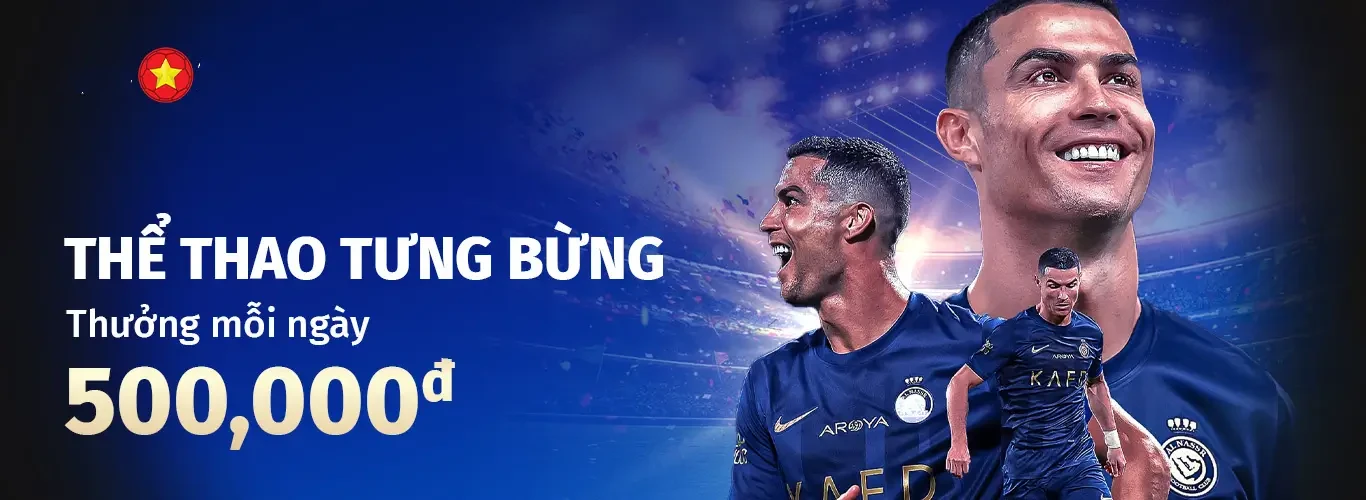 6bet