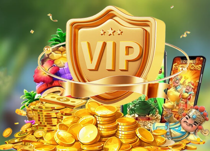 6bet