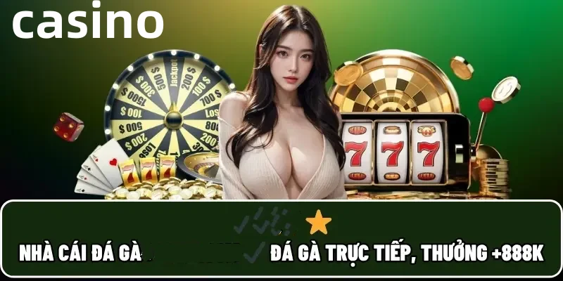 6bet