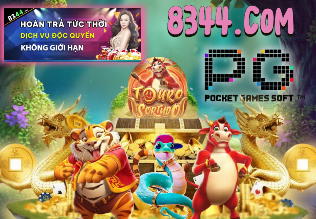 6bet