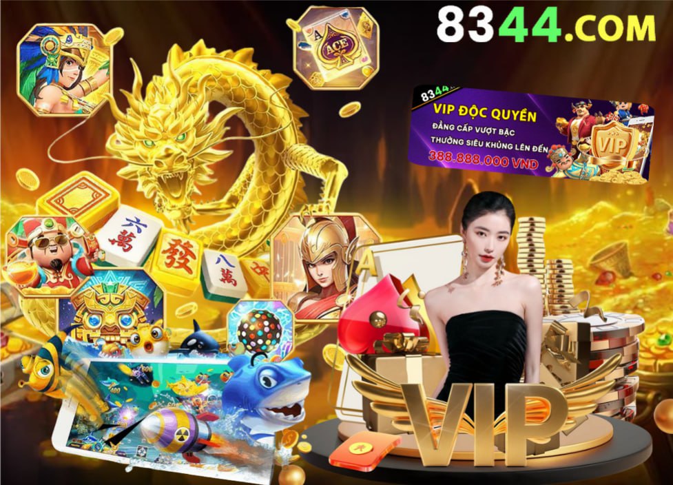 6bet